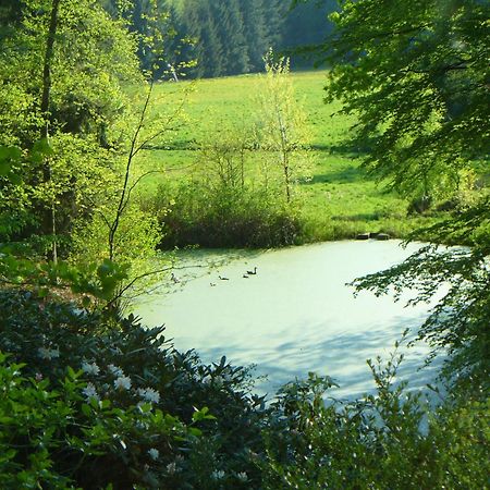 Forstgut Stuebeckshorn Pension Soltau Buitenkant foto